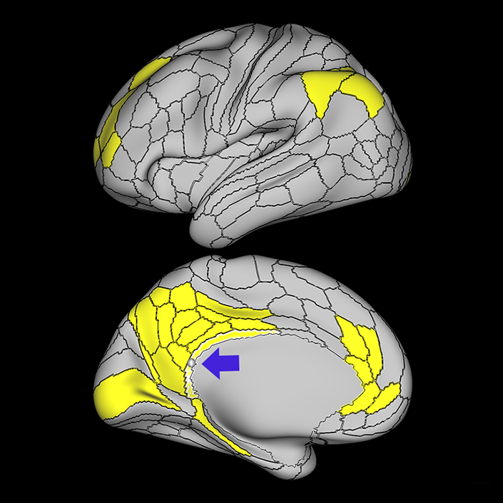 RSC_a