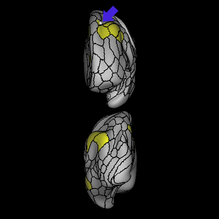 s6-8_b