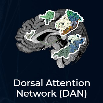 DAN thumbnail