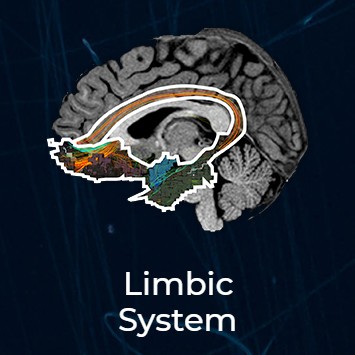 limbic thumbnail