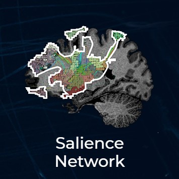 salience thumbnail