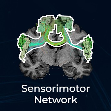 sensorimotor thumbnail
