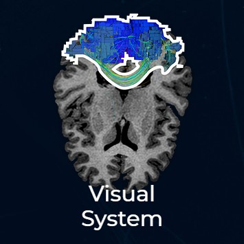 visual thumbnail